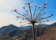 MONTE CASTELLO da Valpiana di Serina il 13 febbraio 2026 - FOTOGALLERY